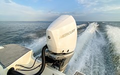 sea-ray-motorboot-230-ssoe-kaufen