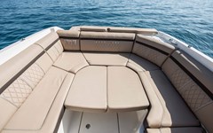 searay-250-sportboot-boot