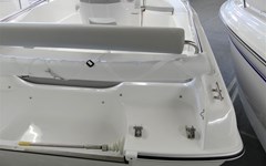 olympic-450cc-badeleiter-mit-bvadeplattform-motorboot