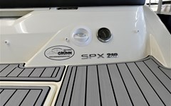 sea-ray-210-spxe-neuboot-sportboot-zu-verkaufen