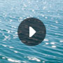 Video 290 SDX Sundeck Sea Ray