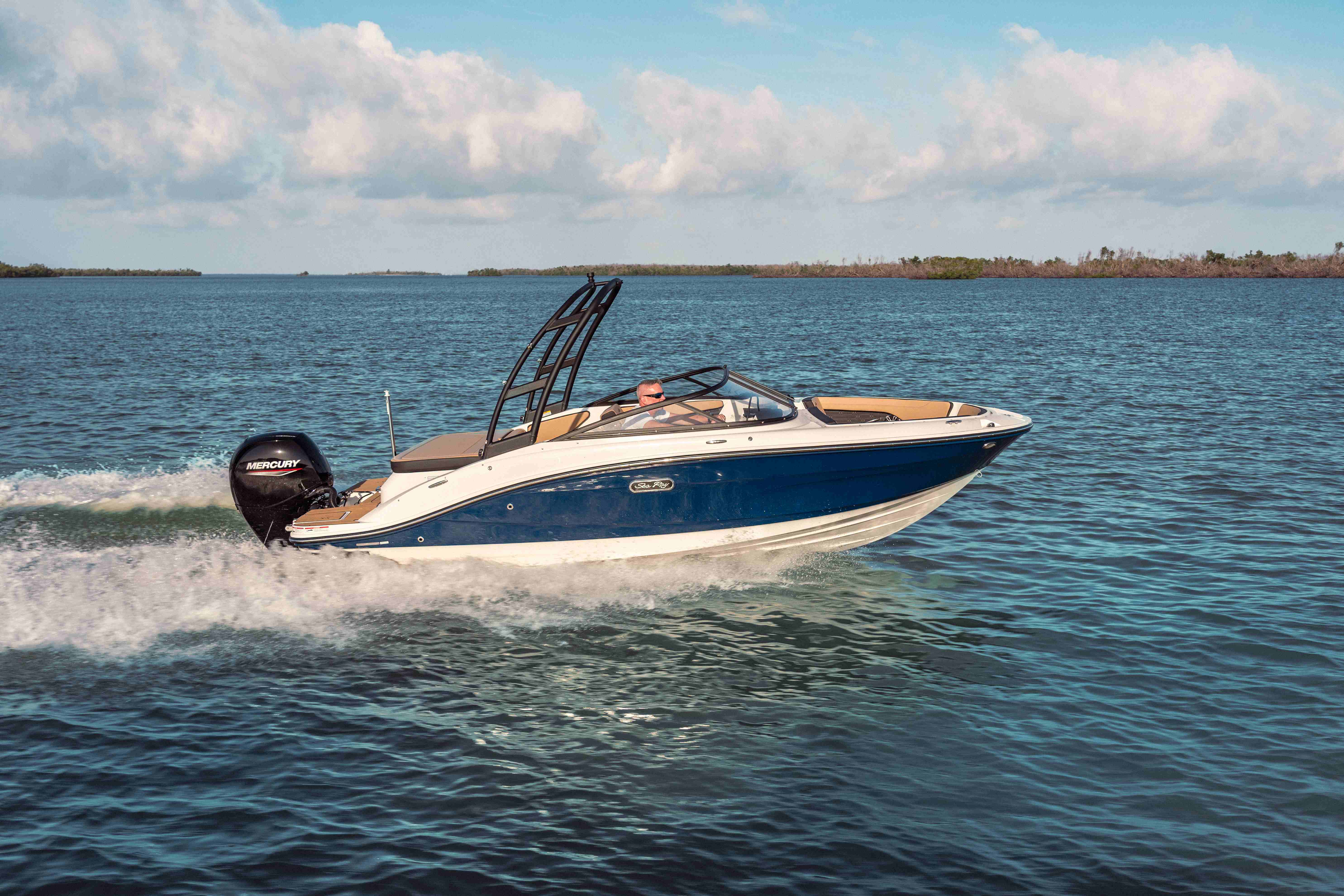Sea Ray 190 SPOE Titelbils