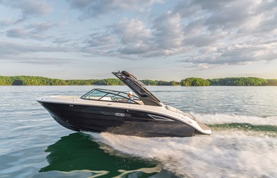 sea ray 250 sdxe