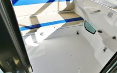 Sea Ray Motorboot 620