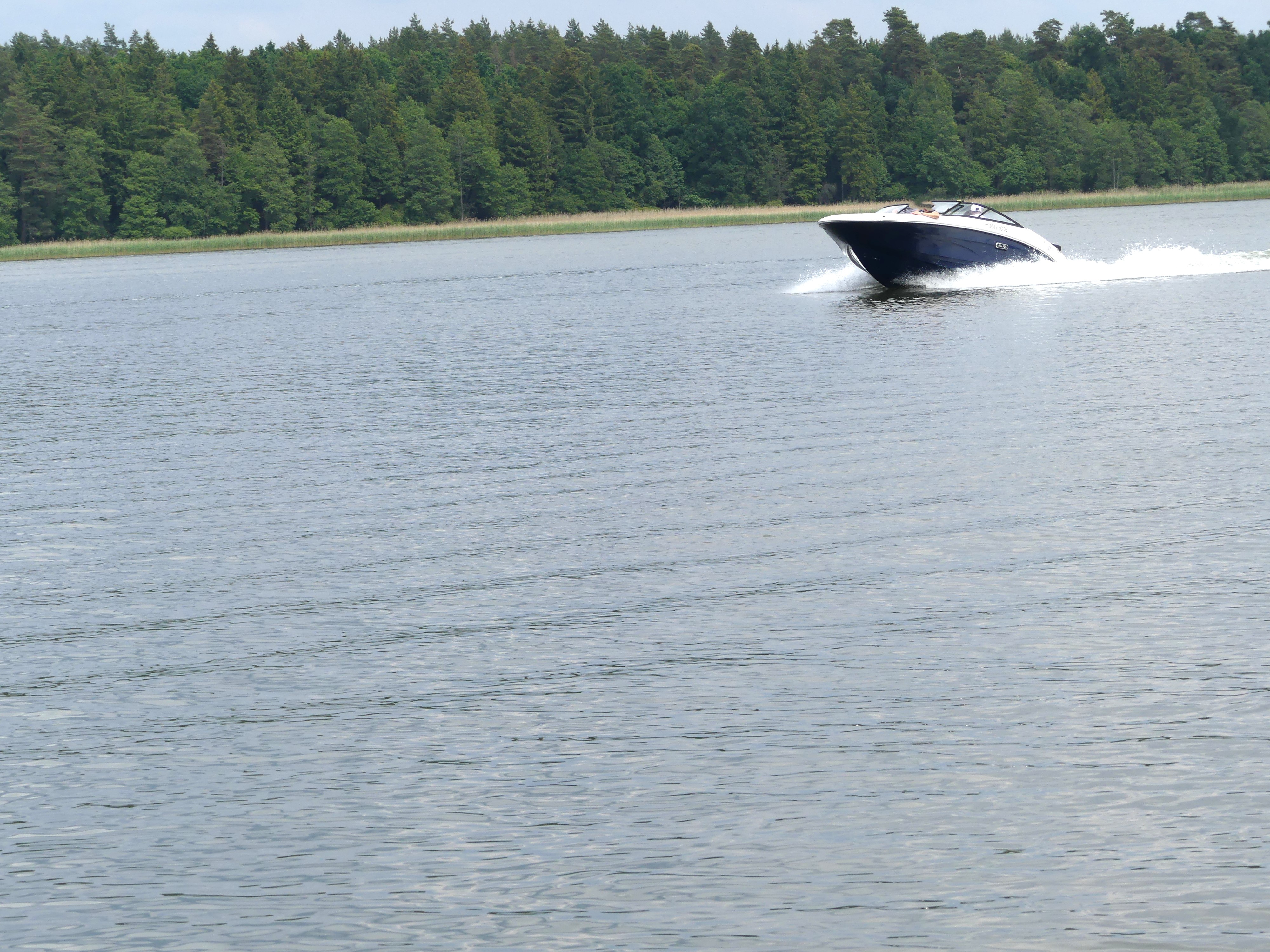 sea-ray-190-spxe-koblenz-boote-gruehmn