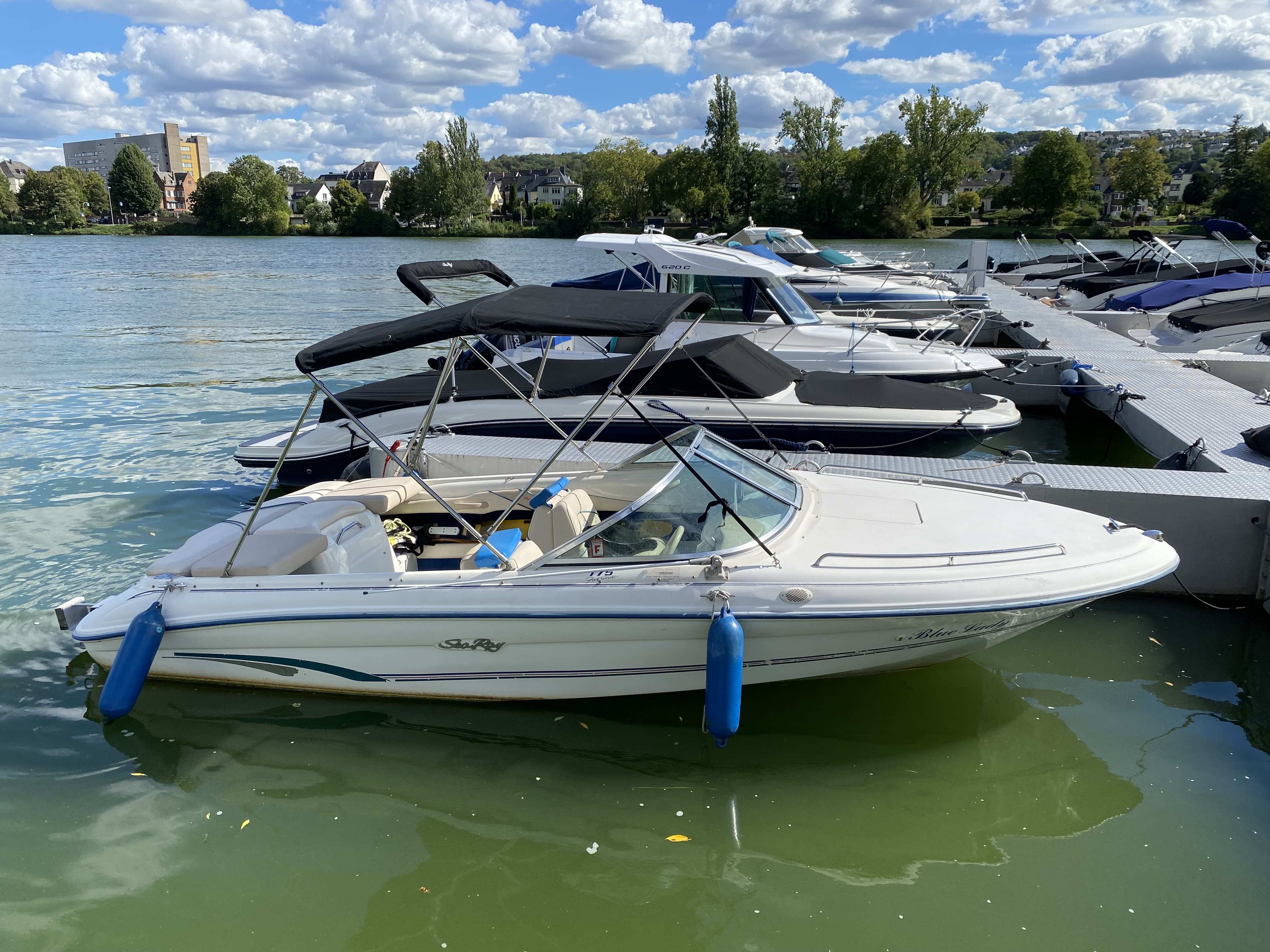 sea-ray-175-br-sport-1996-koblenz-motorboot-mosel-sportboot-wassersport