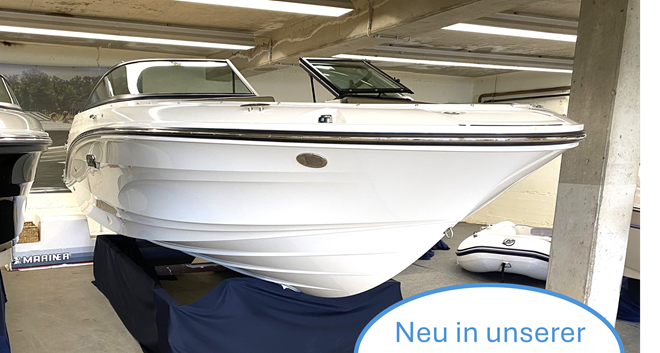 Sea Ray 190 SPXE Model 2025