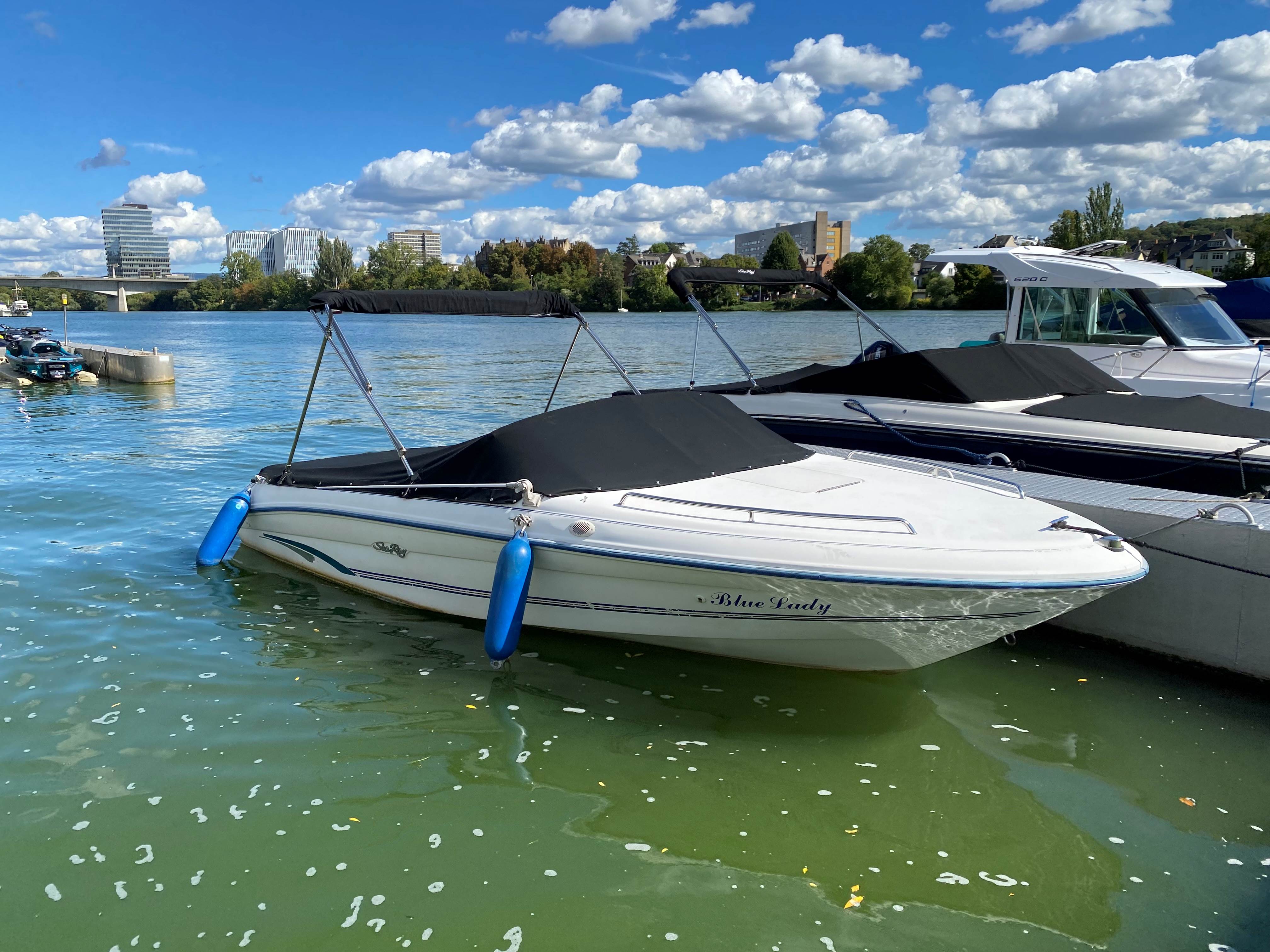 sea-ray-175-br-sport-1996-wakeborden-wassersportboot-wassersportzentrum-gruehn