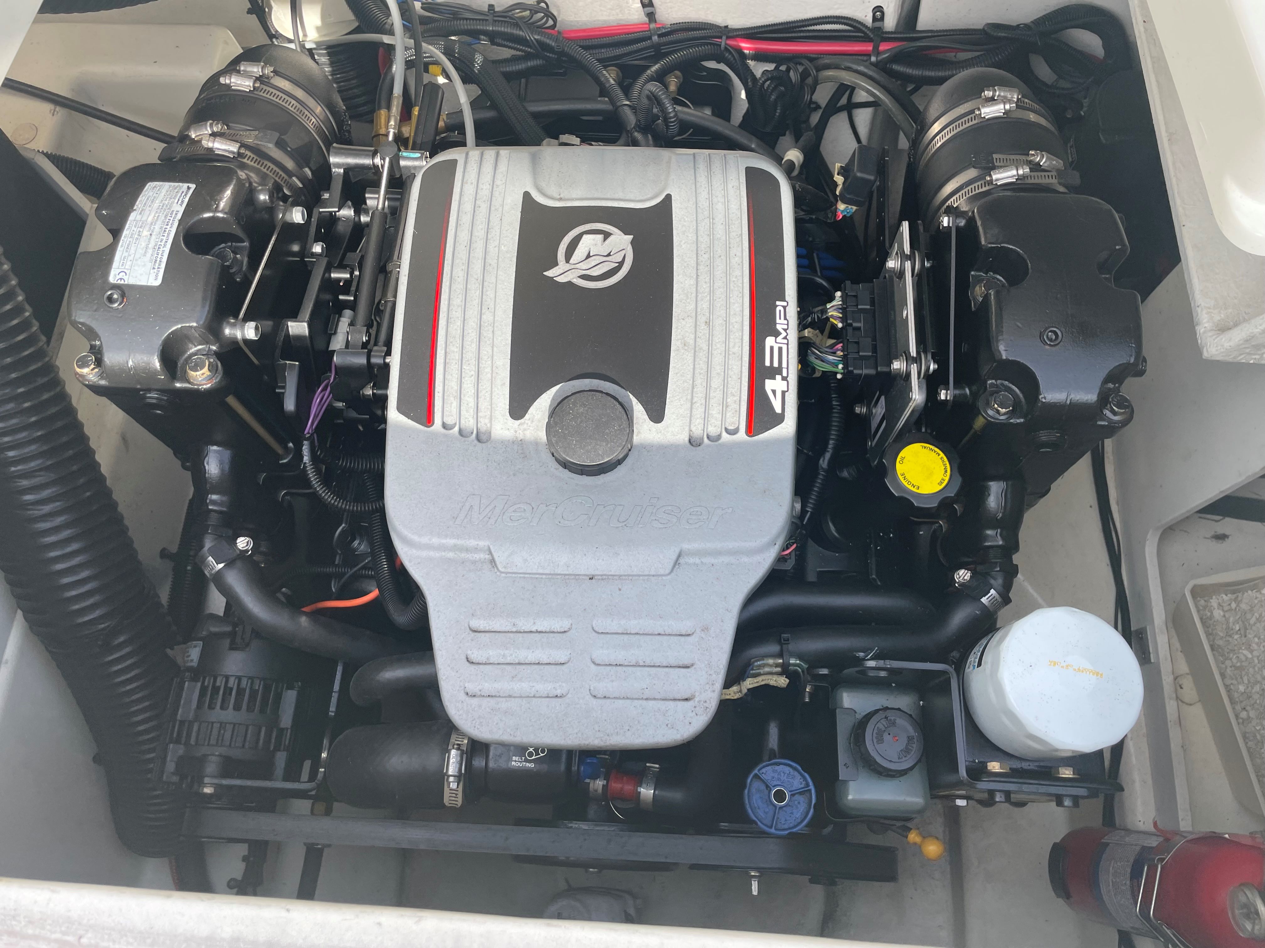 sea-ray-190-spxe-mercury-fachwerkstatt-koblenz