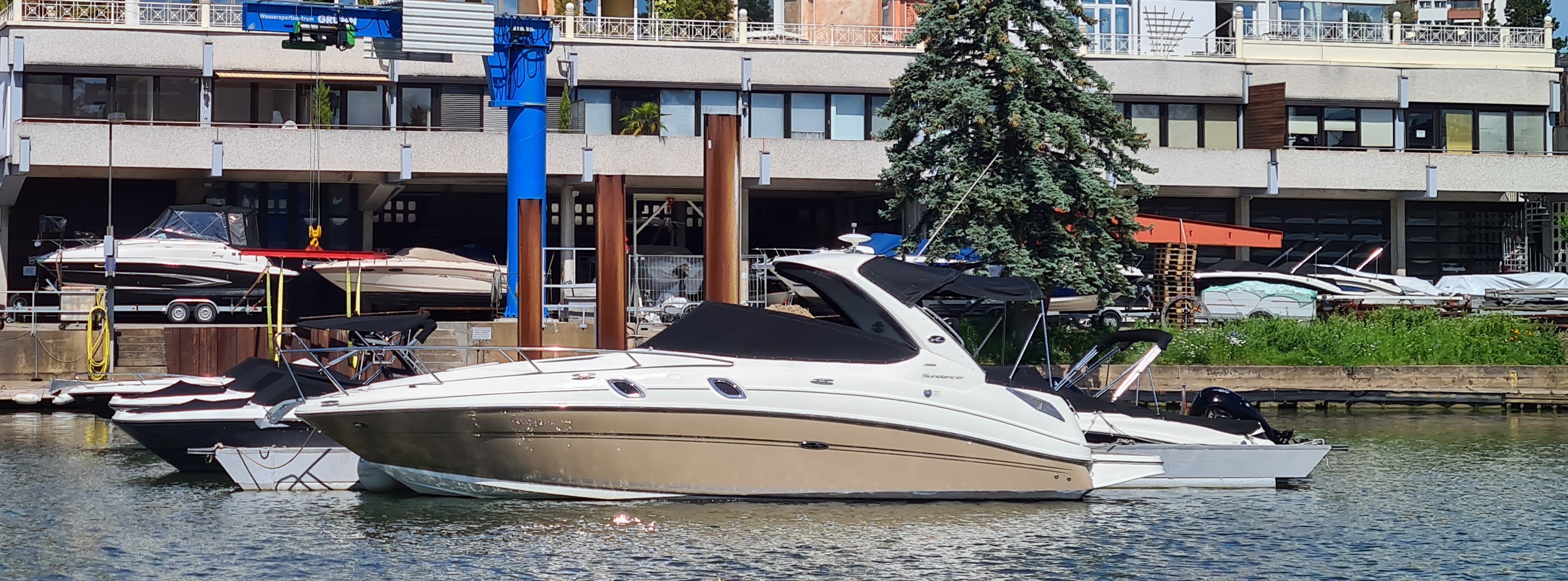 Sea Ray 305