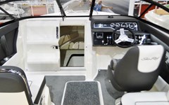 searay-250sunsport-Sportboot-kaufen